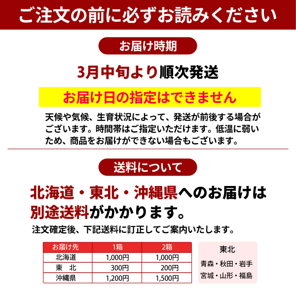 ご注文の前にお読みください　せとか