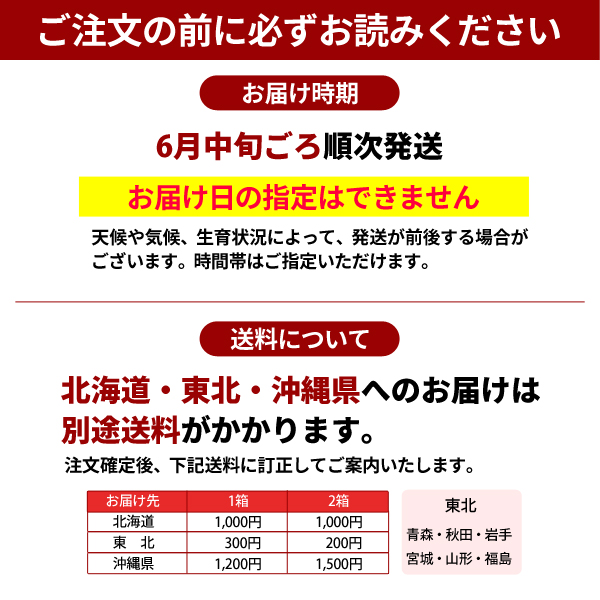 ご注文の前にお読みください　とうもろこし