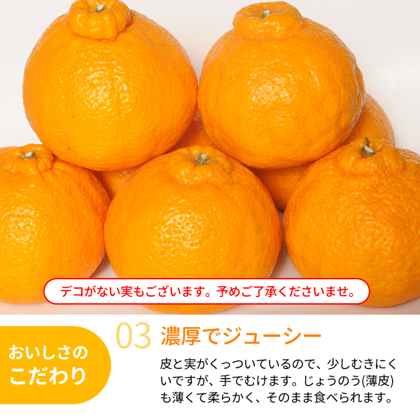 木熟デコポン3kg