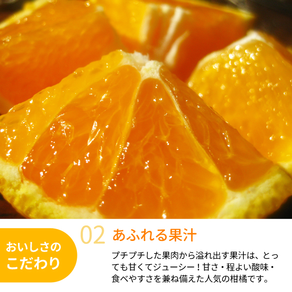 木熟デコポン5kg