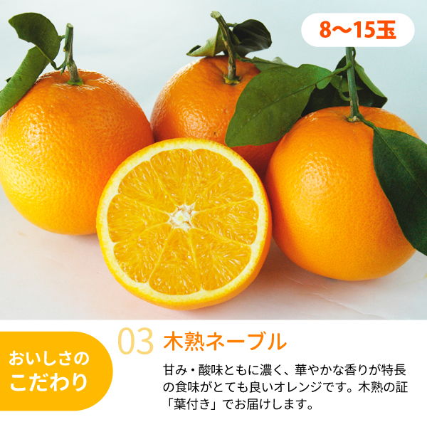 デコポン・ネーブルセット