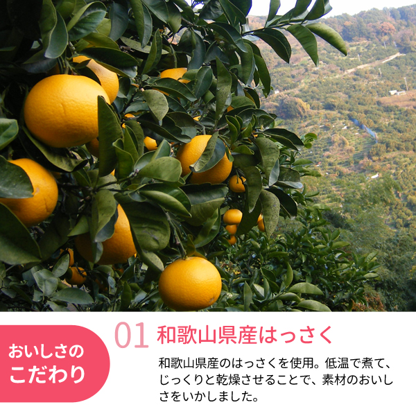 ドライフルーツはっさく