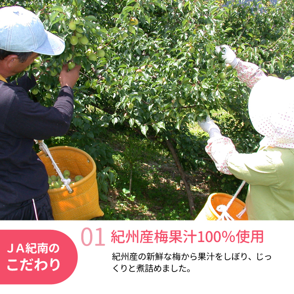 梅エキス90g