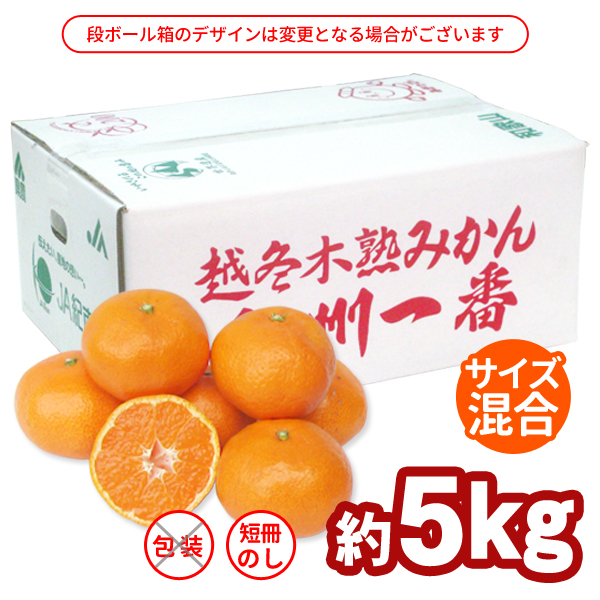 越冬木熟みかん