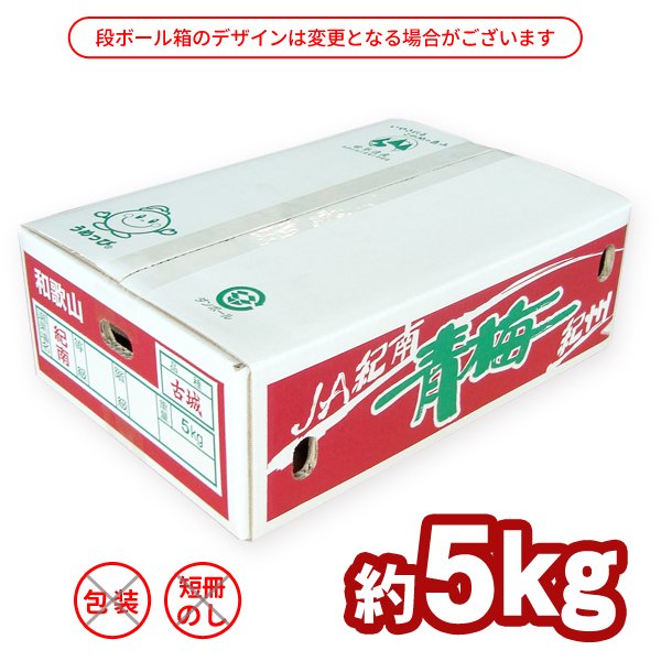 2025年販売終了＞【送料無料】＜梅ジュース・梅酒用＞古城梅（Lサイズ