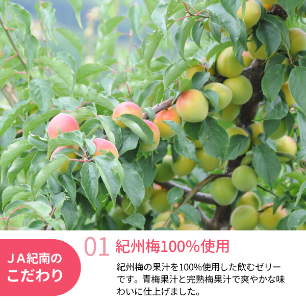 送料無料】ごくごくいける！飲む紀州梅ゼリー 180g×24個 紀州梅干し