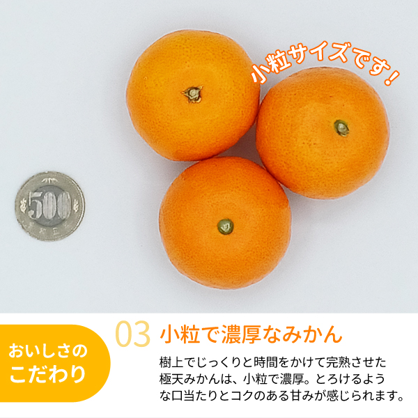 送料無料】木熟みかん「極天」 小玉サイズ 3kg 紀州梅干し