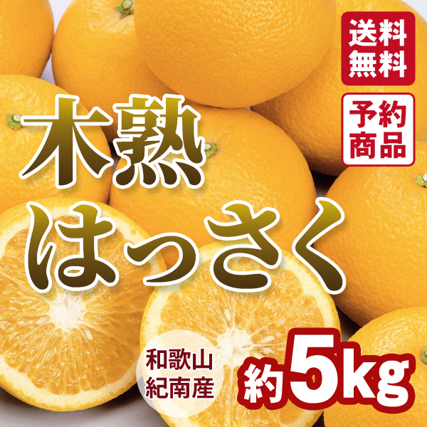 【専用】21 【愛媛県産】カラマンダリン2L又は3L サイズお任せ　約5kg 愛媛県産 かんきつ・カラマンダリン 約5kg| 種・苗・ガーデニング用品