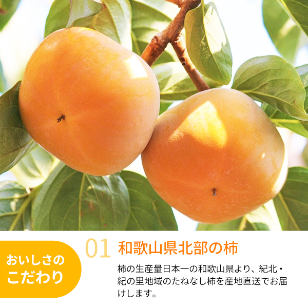 たねなし柿