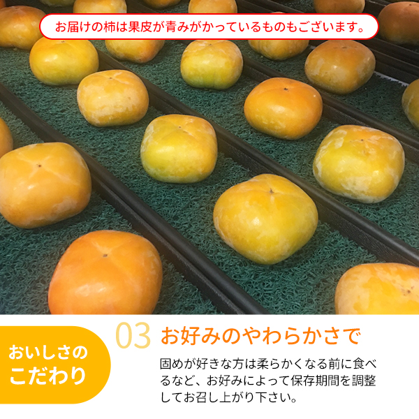 たねなし柿