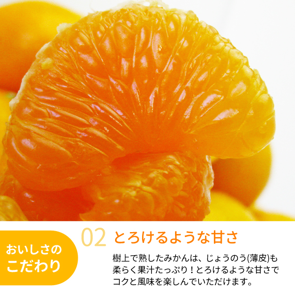 人気サイズ‼️少し早い木熟南高梅　秀品Lサイズ　5kg みかんキング 送料無料】木熟みかん「極天」 小玉サイズ 3kg 紀州梅干し