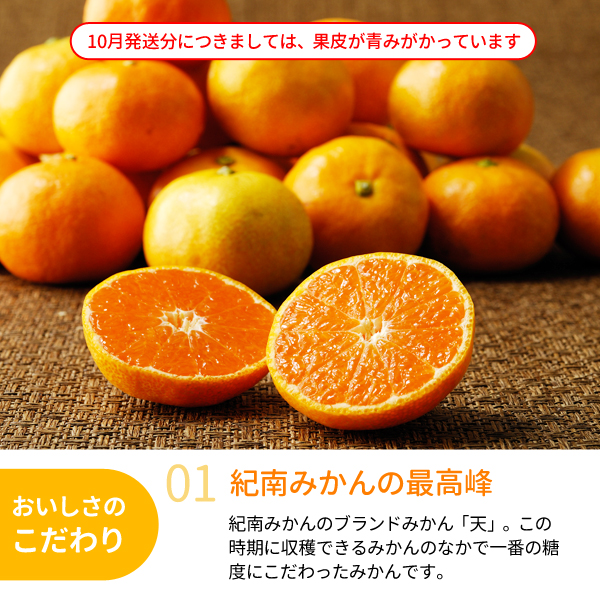 楽天市場】販売配送期間中 ｜ 和歌山県産 極天みかん 贈呈品
