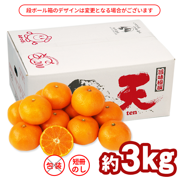 紀南みかん天