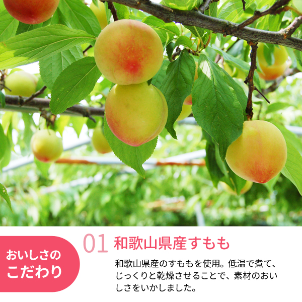 国産果実ドライフルーツすもも