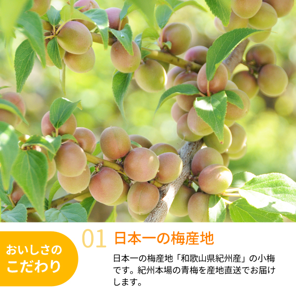 小梅