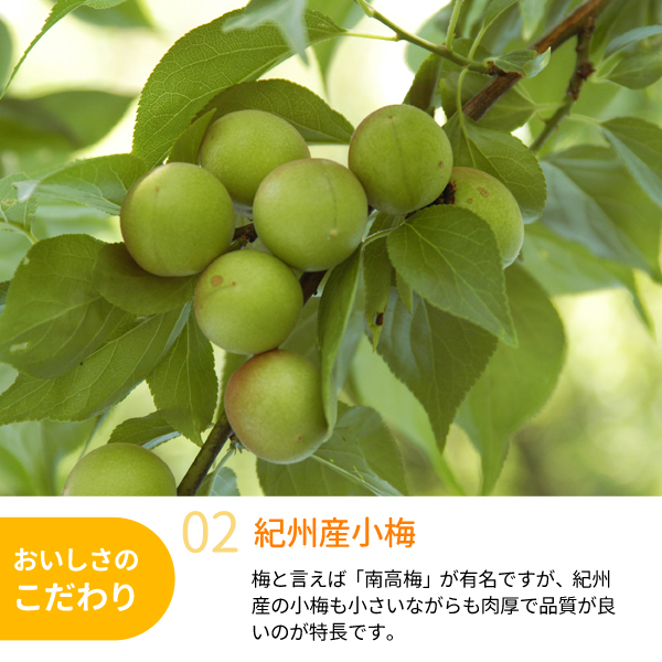 小梅
