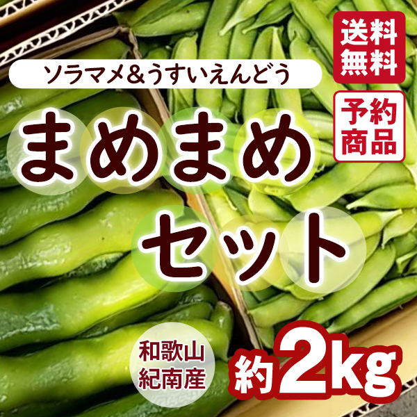 まめまめセット