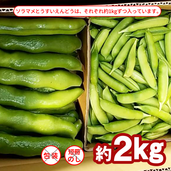 まめまめセット