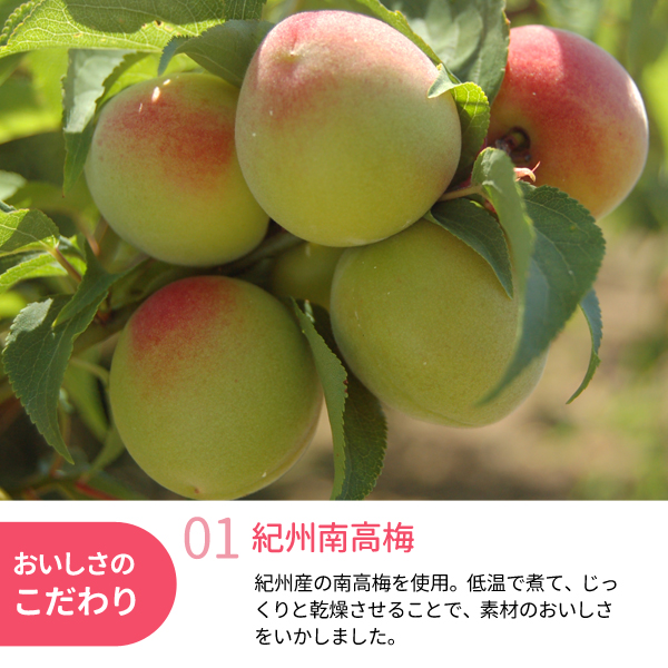 丸ごと果実ドライフルーツ南高梅