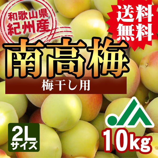 送料無料】＜梅干し用＞紀州産南高梅 約10kg 