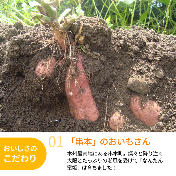 なんたん蜜姫