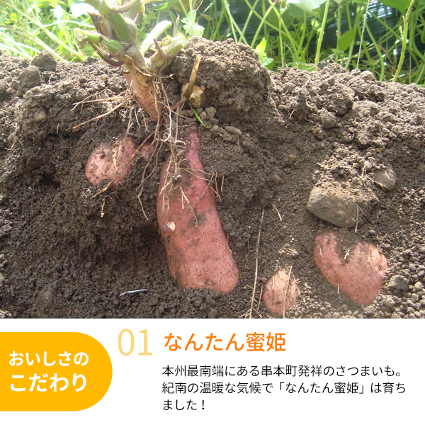 なんたん蜜姫
