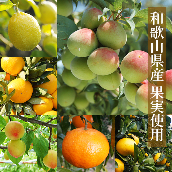 ドライフルーツ6種類