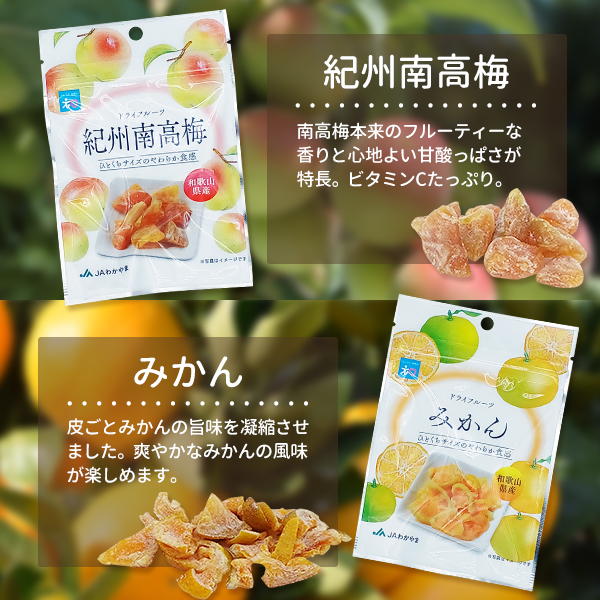 ドライフルーツ6種類セット
