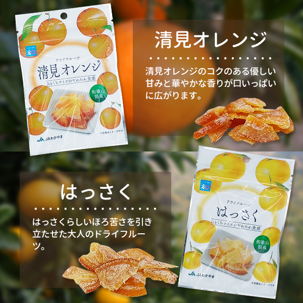 ドライフルーツ6種類セット