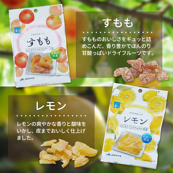 ドライフルーツ6種類セット