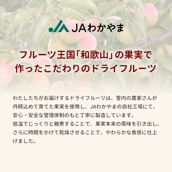 ドライフルーツ6種類