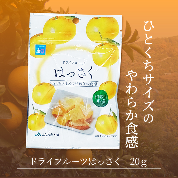 ドライフルーツはっさく