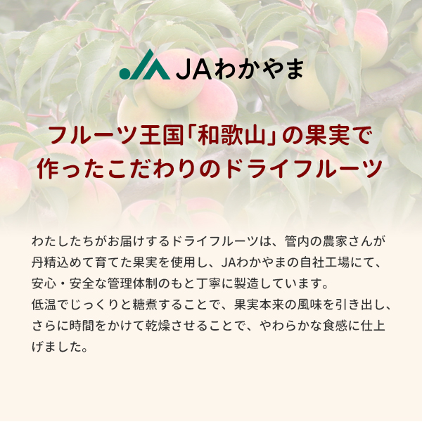 ドライフルーツはっさく