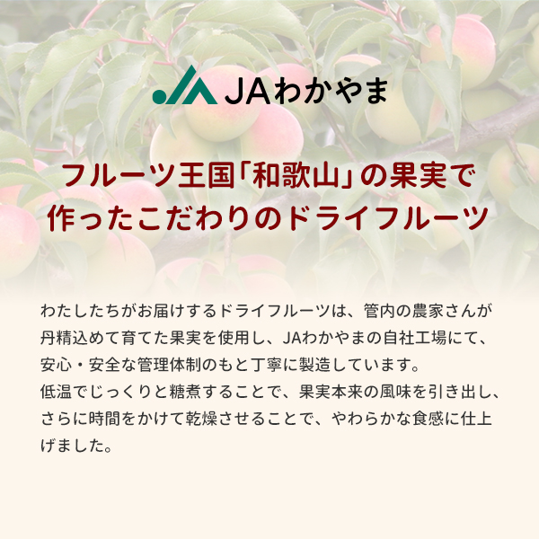 ドライフルーツみかん