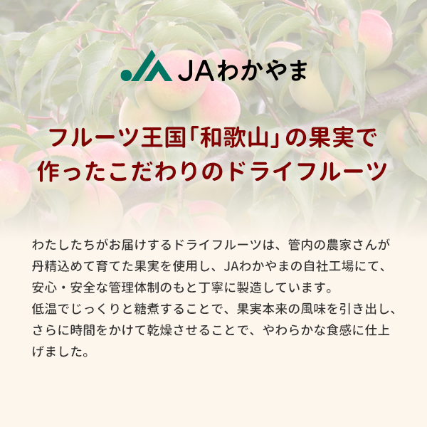 ドライフルーツすもも