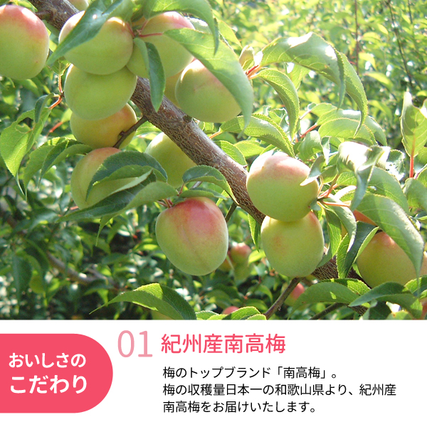 黄色め冷凍南高梅