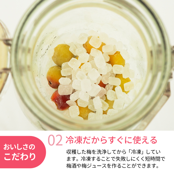 氷梅 黄色め冷凍南高梅(梅酒・梅ジュース用)＜冷凍梅＞ 500g （1個口