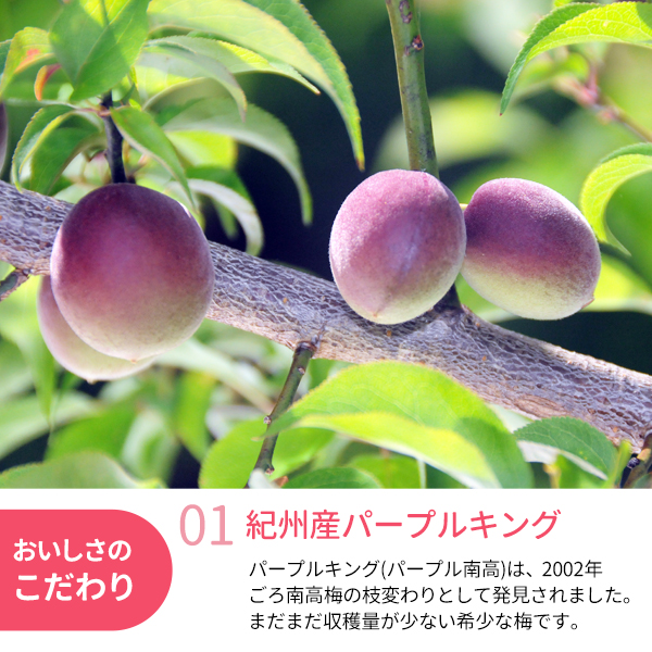 冷凍パープルキング