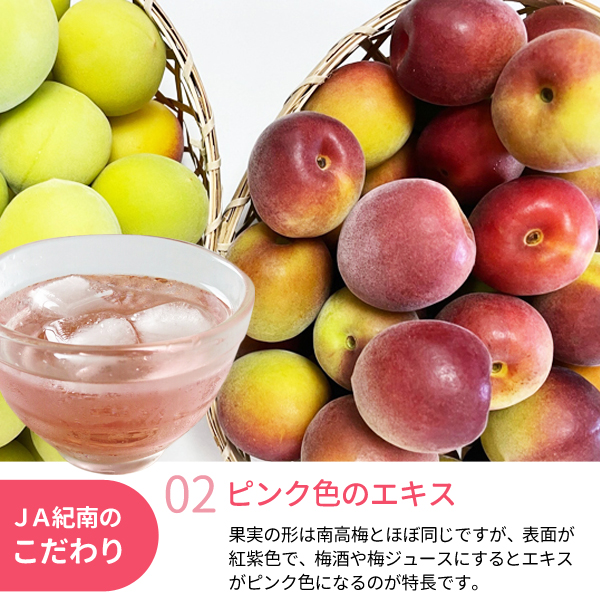 氷梅 冷凍パープルキング(梅酒・梅ジュース用)＜冷凍梅＞ 500g
