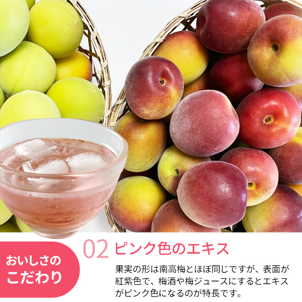 冷凍パープルキング