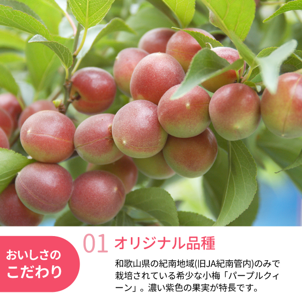 氷梅 冷凍パープルクィーン＜冷凍梅＞(梅酒・梅ジュース用) 【小さめL 