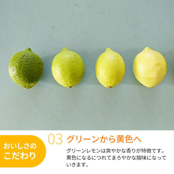 送料無料】和歌山県紀南産 レモン 約2kg 紀州梅干し・みかんのJA