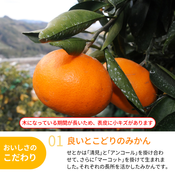 せとか