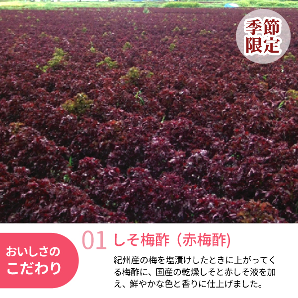 紫蘇で酢