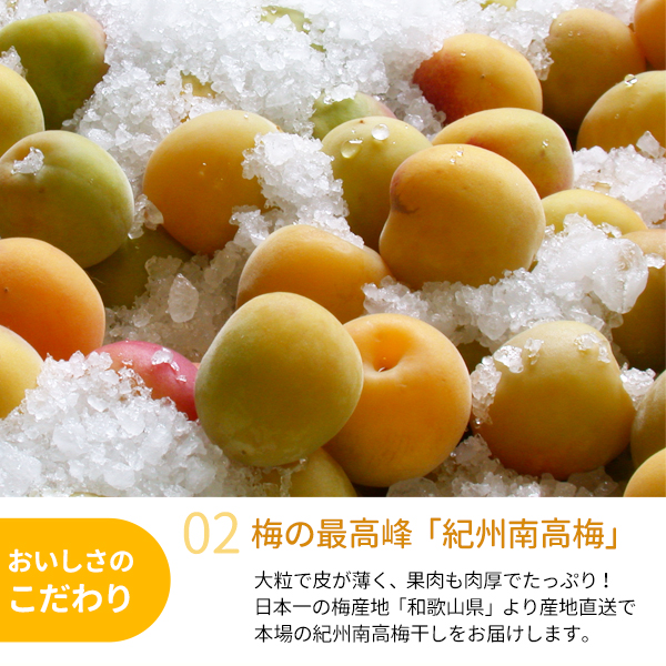 送料無料 紀州産南高梅干 訳ありしそづけ紀州南高梅 800g 塩分10％ 無