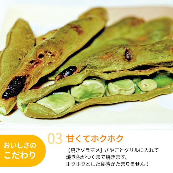 ソラマメ