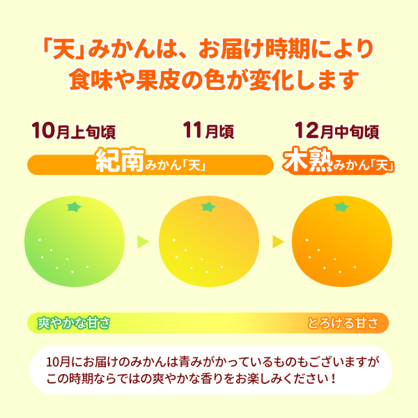 紀南みかん・木熟みかん天の色
