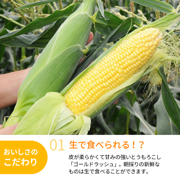 とうもろこし