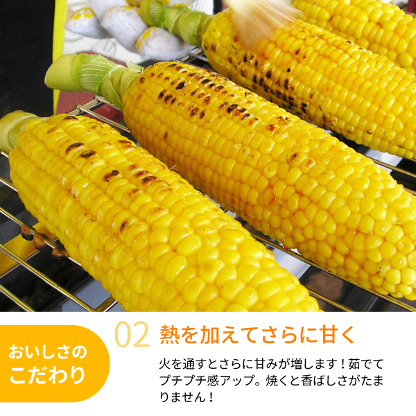 和歌山県とんだ産 朝採りとうもろこし「ゴールドラッシュ」 約