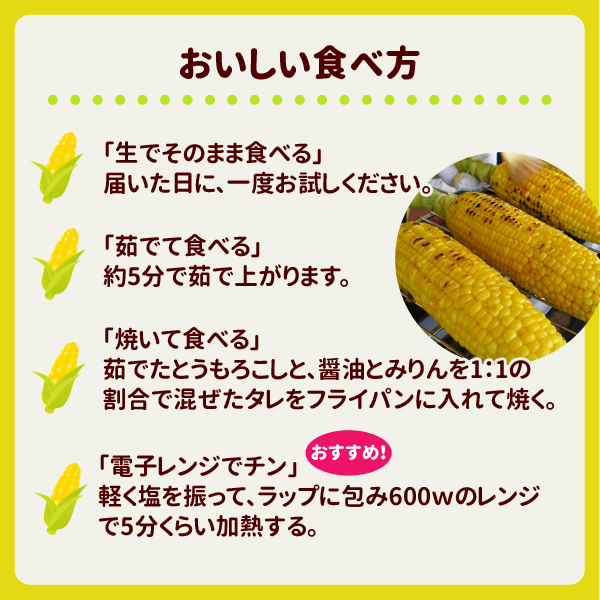 和歌山県とんだ産 朝採りとうもろこし「ゴールドラッシュ」 約